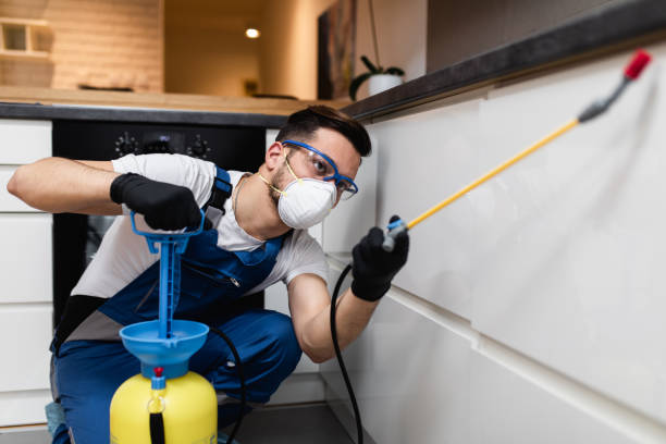 Best Local Pest Control Services  in Lockport Heights, LA