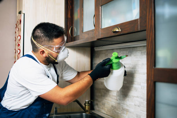 Best Ant Control Services  in Lockport Heights, LA