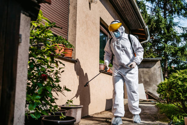 Best Insect Control  in Lockport Heights, LA