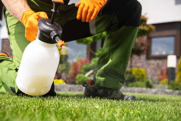 Best Pest Control Near Me  in Lockport Heights, LA