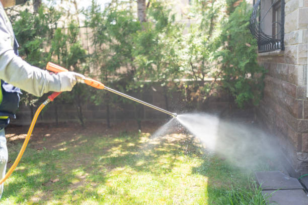 Best Best Pest Control Companies  in Lockport Heights, LA