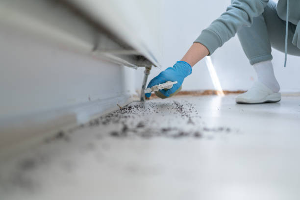 Best Mosquito Control Services  in Lockport Heights, LA
