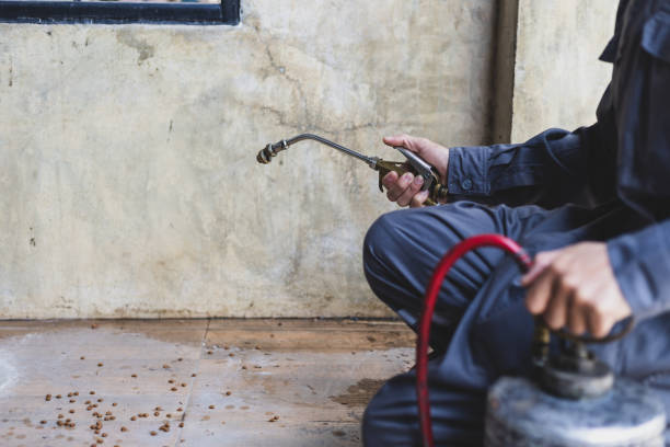 Best Rat Extermination Near Me  in Lockport Heights, LA