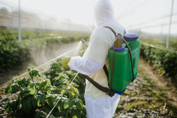 Best Pest Control Near Me  in Lockport Heights, LA